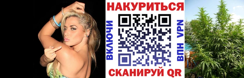 Где купить Гвардейск МАРИХУАНА  КЕТАМИН  A-PVP  Меф мяу мяу  Гашиш  КОКАИН  Псилоцибиновые грибы 