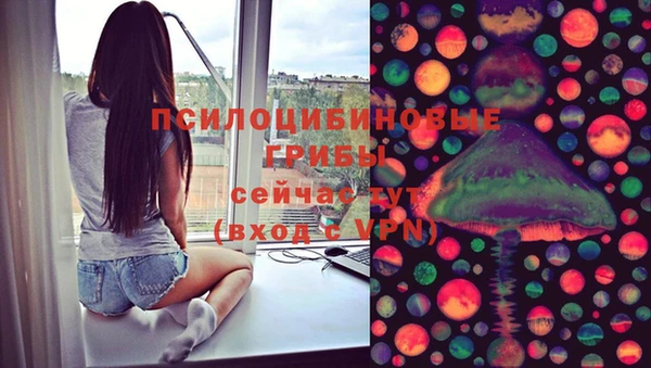 ГАЛЛЮЦИНОГЕННЫЕ ГРИБЫ Медвежьегорск