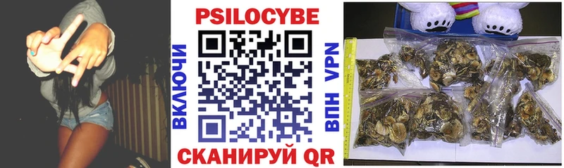 Галлюциногенные грибы Psilocybe Гвардейск